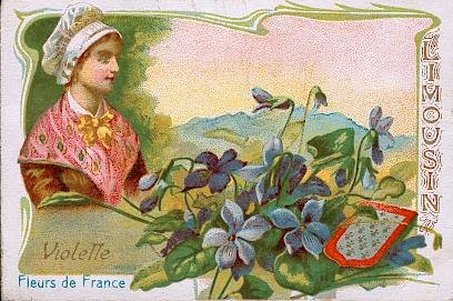 La violette est une plante vivace de la famille des violari&eacute;es, tr&egrave;s commune sous les haies et dans les bois o&ugrave; elle fleurit d&egrave;s les premiers jours du printemps. Avec les fleurs s&eacute;ch&eacute;es, on fait une tisane contre la toux ; leur distillation produit une essence tr&egrave;s appr&eacute;ci&eacute;e comme parfum. Sa racine, d'une odeur agr&eacute;able, sert d'&eacute;m&eacute;tique.