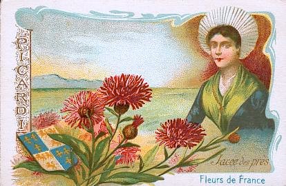 La jac&eacute;e des pr&eacute;s ou centaur&eacute;e jac&eacute;e est une plante vivace de la famille des compos&eacute;es : elle atteint une hauteur de 30 &agrave; 80 cm, tr&egrave;s variable de forme ; on la trouve dans les prairies et sur la lisi&egrave;re des bois. Cette plante, dont toutes les parties servaient autrefois en m&eacute;decine, semble aujourd'hui ne plus jouir des m&ecirc;mes faveurs.